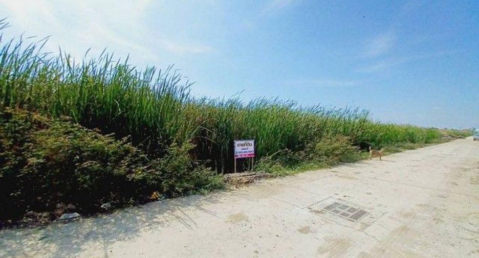 For sale land in Thanyaburi, Pathum Thani