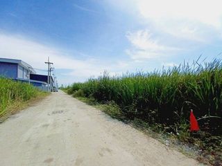 For sale land in Thanyaburi, Pathum Thani