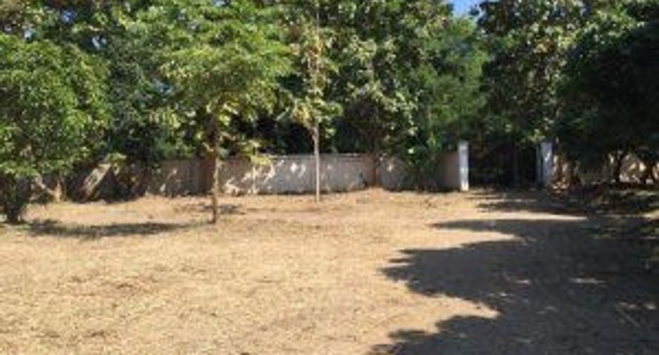 For sale land in Hang Dong, Chiang Mai