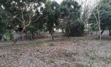 Terreno en venta en Hang Dong, Chiang Mai