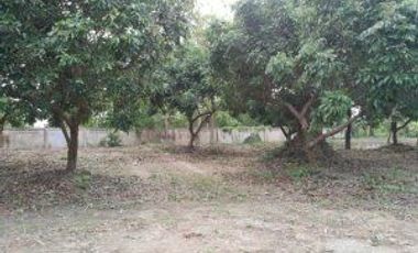 Terreno en venta en Hang Dong, Chiang Mai