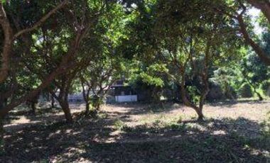 Terreno en venta en Hang Dong, Chiang Mai