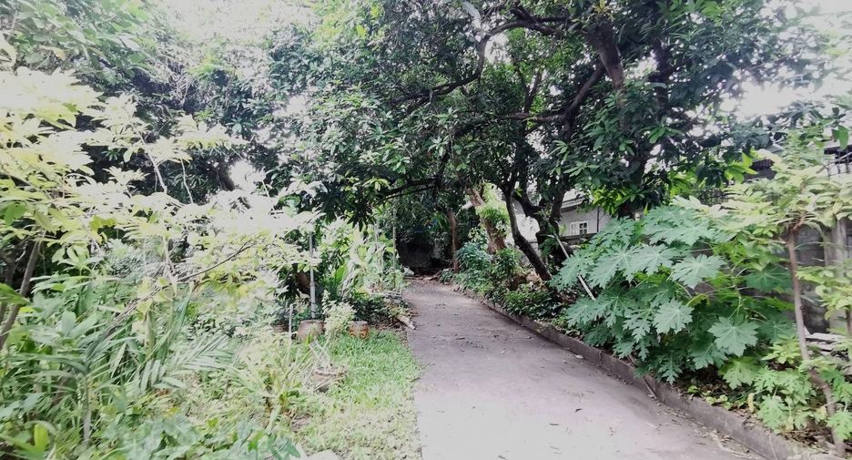 出售 土地 在 Bang Na, 曼谷