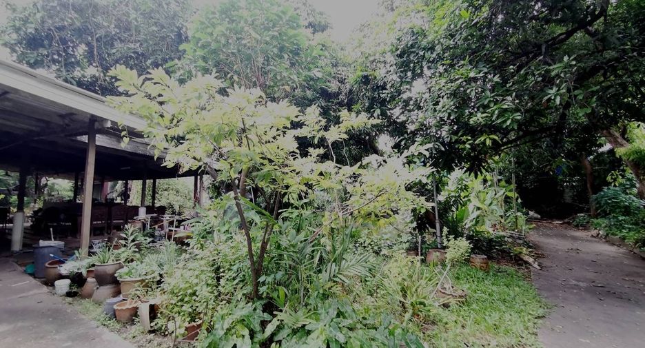 出售 土地 在 Bang Na, 曼谷