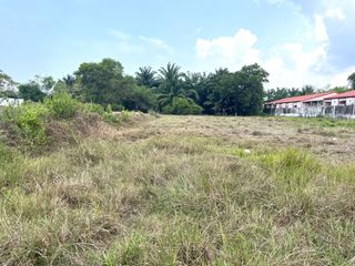For sale land in Takua Thung, Phang Nga