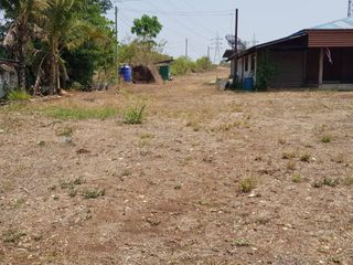 For rent and for sale land in Mueang Uttaradit, Uttaradit