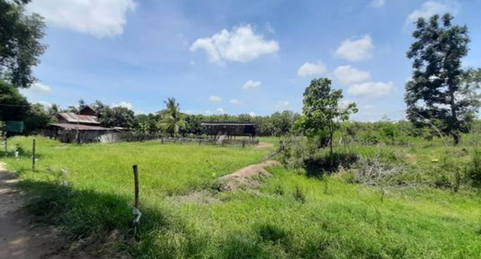 For sale land in Chon Daen, Phetchabun