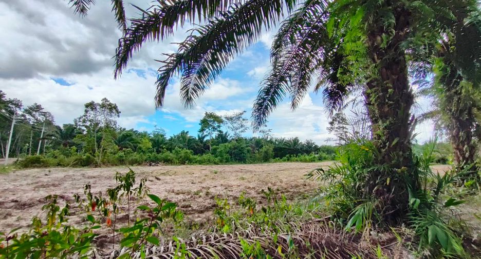 For sale land in Nopphitam, Nakhon Si Thammarat