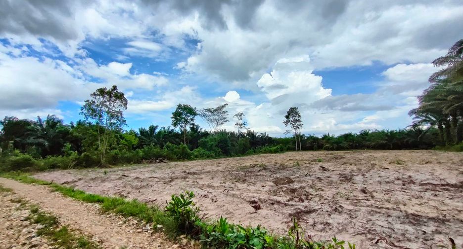 For sale land in Nopphitam, Nakhon Si Thammarat