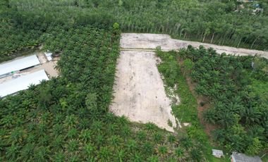 For sale land in Nopphitam, Nakhon Si Thammarat