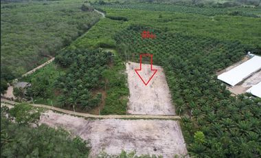 For sale land in Nopphitam, Nakhon Si Thammarat