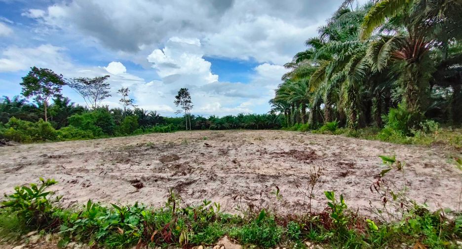 For sale land in Nopphitam, Nakhon Si Thammarat