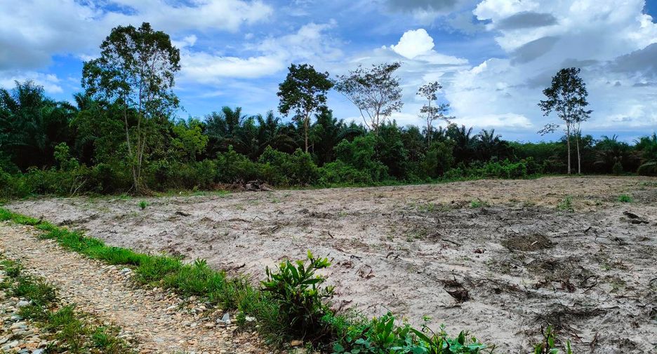 For sale land in Nopphitam, Nakhon Si Thammarat