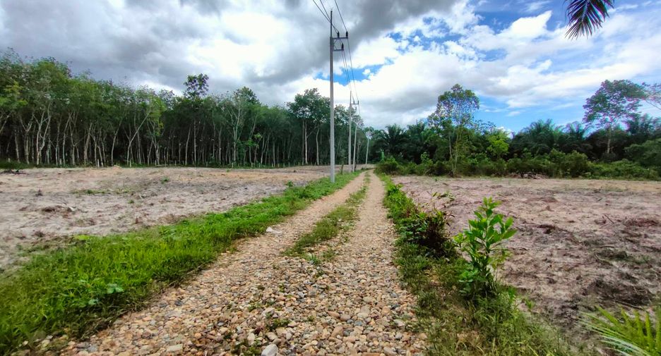 For sale land in Nopphitam, Nakhon Si Thammarat
