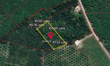 For sale land in Nopphitam, Nakhon Si Thammarat