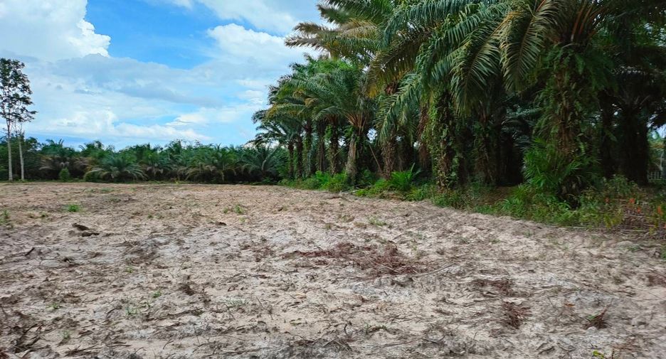 For sale land in Nopphitam, Nakhon Si Thammarat