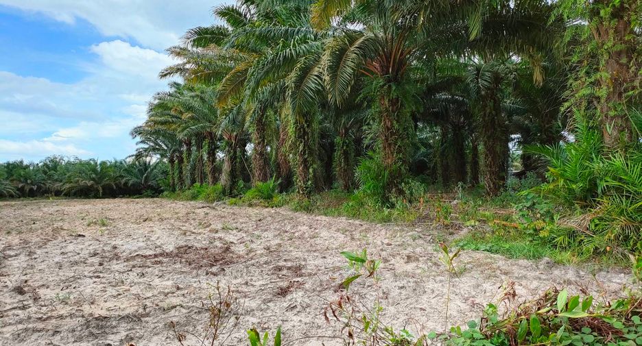 For sale land in Nopphitam, Nakhon Si Thammarat