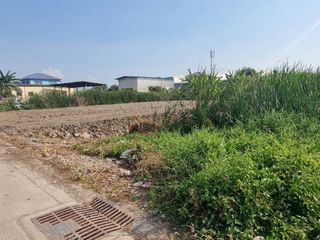 For sale land in Bang Phli, Samut Prakan
