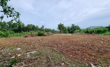 For sale land in Mueang Phuket, Phuket