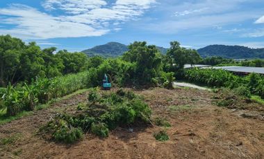 For sale land in Mueang Phuket, Phuket