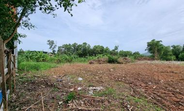 For sale land in Mueang Phuket, Phuket
