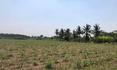 For sale land in Si Prachan, Suphan Buri