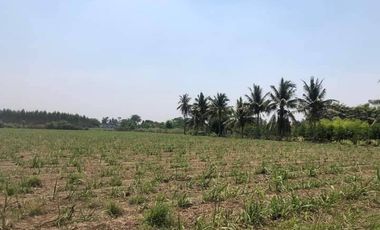 À vendre terrain à Si Prachan, Suphan Buri