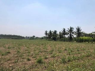 ขาย ที่ดิน ใน ศรีประจันต์, สุพรรณบุรี