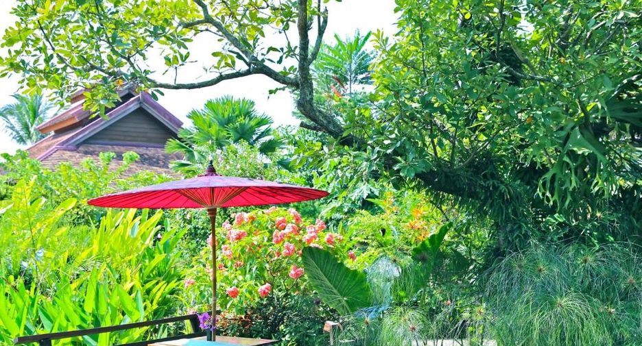 For sale 11 ベッドルーム hotel in Mueang Chiang Mai, Chiang Mai
