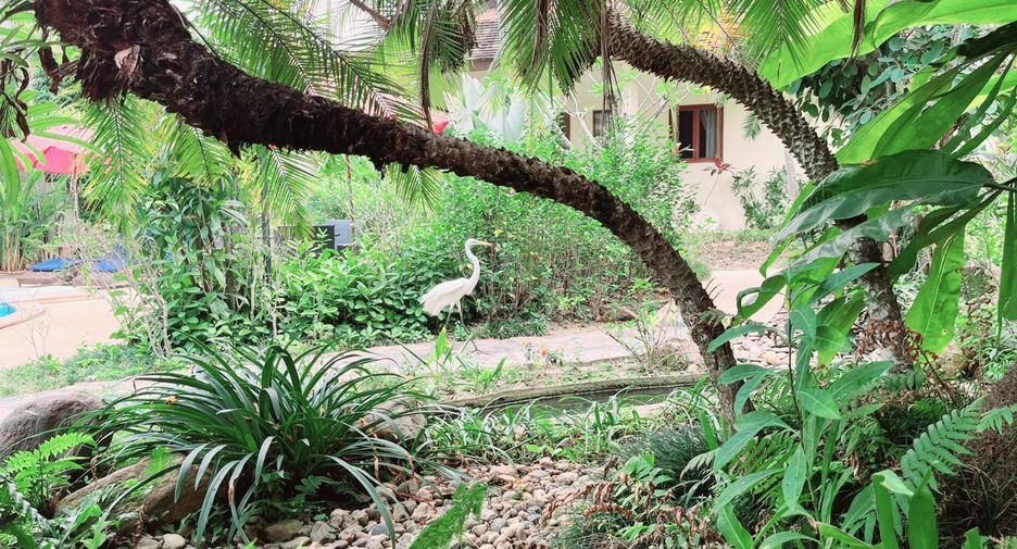 For sale 11 ベッドルーム hotel in Mueang Chiang Mai, Chiang Mai