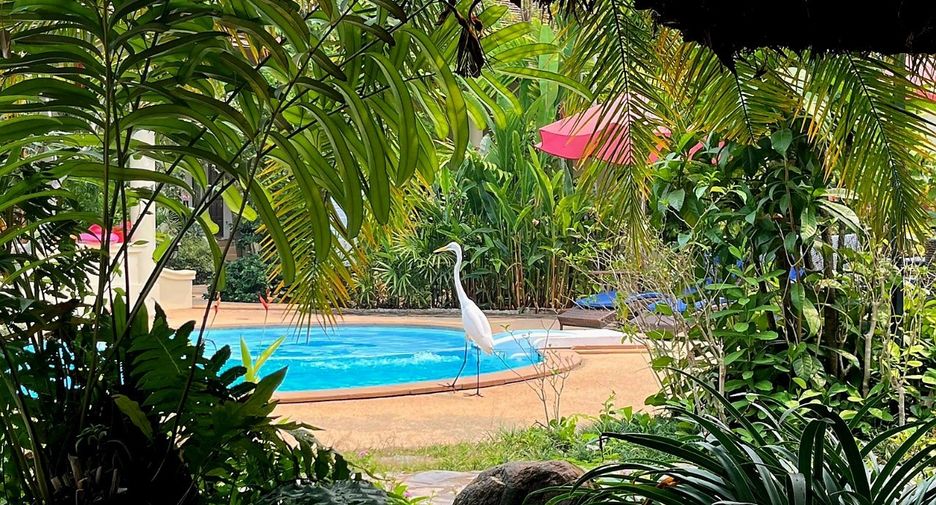 For sale 11 ベッドルーム hotel in Mueang Chiang Mai, Chiang Mai