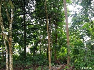 出售 土地 在 Kapho, Pattani