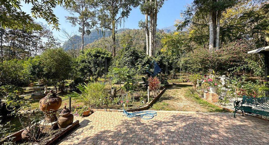 For sale 13 ベッドルーム retail Space in Chiang Dao, Chiang Mai