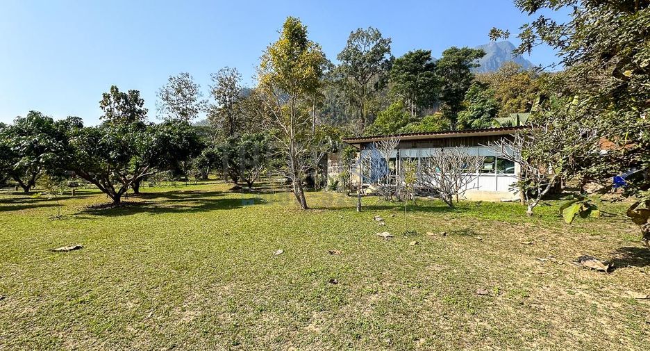 For sale 13 ベッドルーム retail Space in Chiang Dao, Chiang Mai