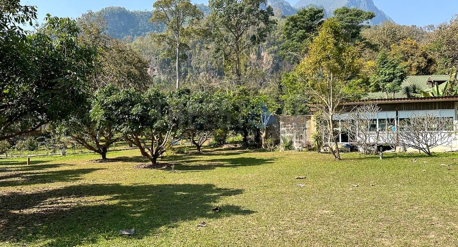 For sale 13 ベッドルーム retail Space in Chiang Dao, Chiang Mai