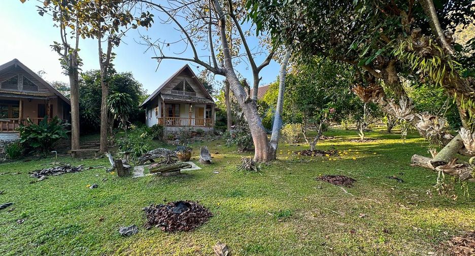 For sale 13 ベッドルーム retail Space in Chiang Dao, Chiang Mai