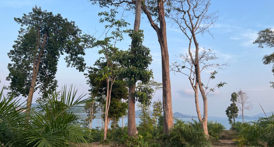 出售 土地 在 Takua Thung, Phangnga