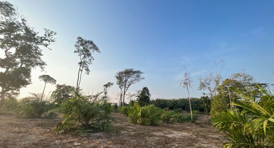 出售 土地 在 Takua Thung, Phangnga