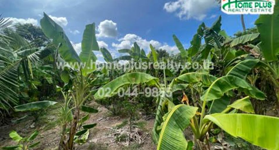 For sale land in Pho Thong, Ang Thong