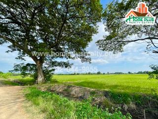 For sale land in Nong Don, Saraburi