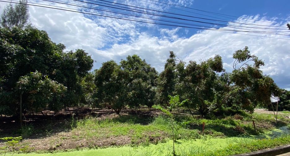Apartamento en venta de estudio en Saraphi, Chiang Mai