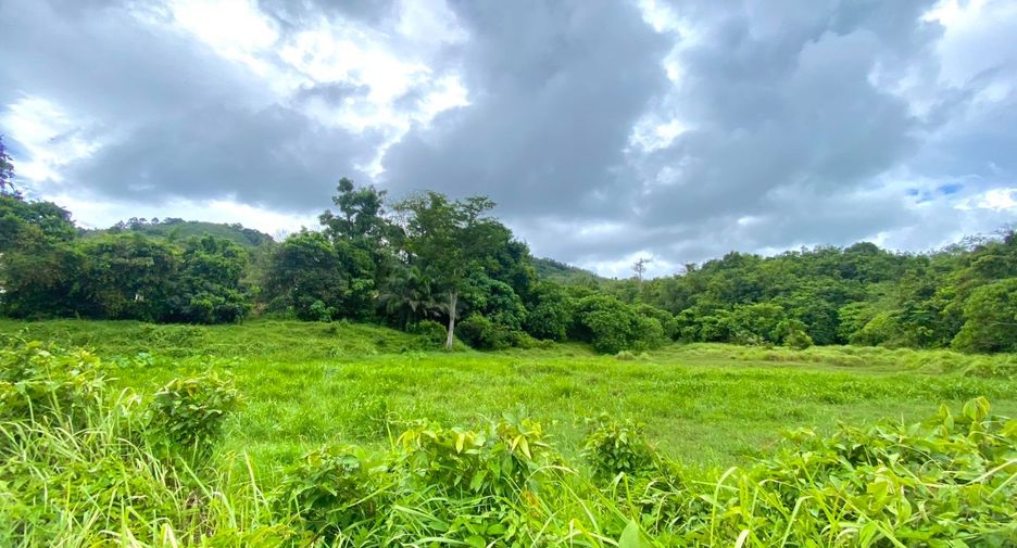 For sale land in Thalang, Phuket
