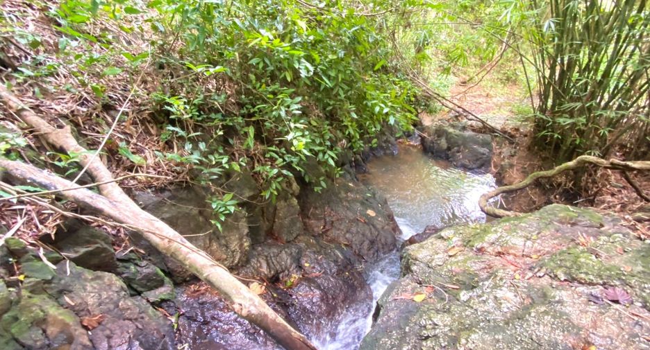 For sale land in Thalang, Phuket