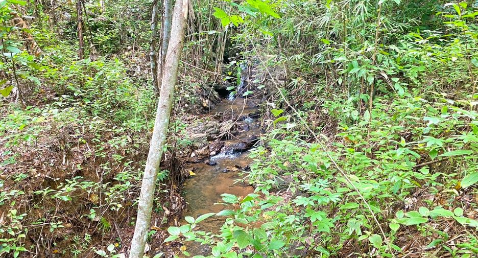 For sale land in Thalang, Phuket