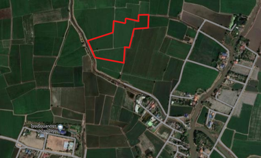 For sale land in Sena, Phra Nakhon Si Ayutthaya