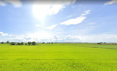 For sale land in Sena, Phra Nakhon Si Ayutthaya