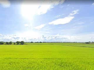 For sale land in Sena, Phra Nakhon Si Ayutthaya