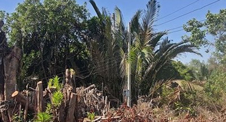 For rent and for sale land in Phra Pradaeng, Samut Prakan