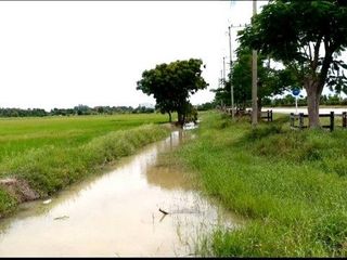 出售 土地 在 Mueang Suphan Buri, Suphan Buri