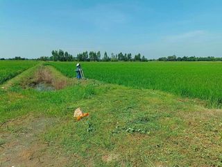 出售 土地 在 Mueang Suphan Buri, Suphan Buri